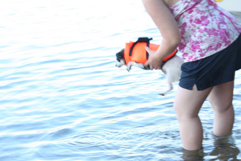 2008 08 29 40D 0451
