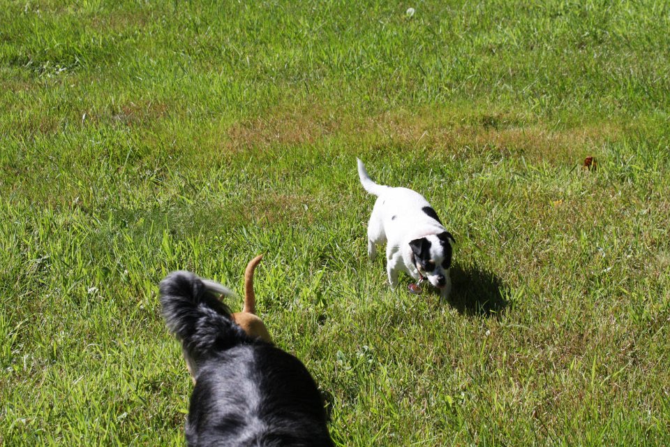 2008 08 30 40D 0474