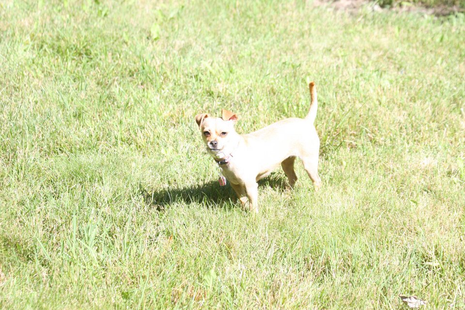 2008 08 30 40D 0490