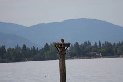 2008 08 24 40D 0001