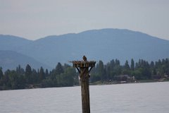 2008 08 24 40D 0004