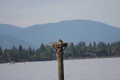 2008 08 24 40D 0007