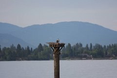 2008 08 24 40D 0008