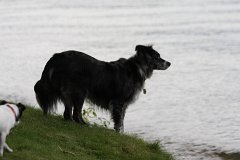 2008 08 24 40D 0015