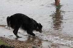2008 08 24 40D 0016