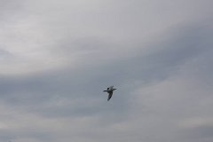 2008 08 24 40D 0030