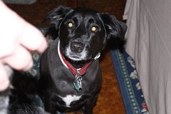 2008 08 24 40D 0047