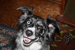 2008 08 24 40D 0049