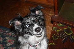 2008 08 24 40D 0050