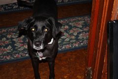 2008 08 24 40D 0060
