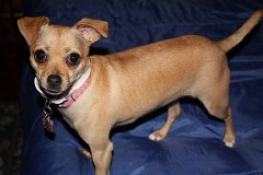 2008 08 24 40D 0061