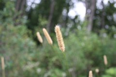 2008 08 25 40D 0094