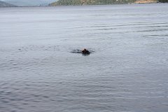 2008 08 26 40D 0101