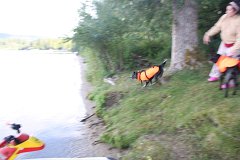 2008 08 26 40D 0116