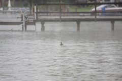 2008 08 27 40D 0154