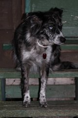 2008 08 27 40D 0165