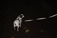 2008 08 28 40D 0179