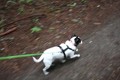 2008 08 28 40D 0181