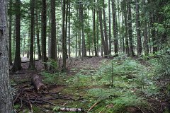 2008 08 28 40D 0184