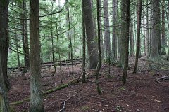 2008 08 28 40D 0185