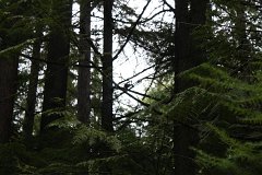 2008 08 28 40D 0187