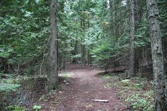 2008 08 28 40D 0188