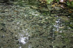 2008 08 28 40D 0197
