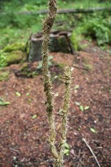 2008 08 28 40D 0206