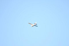 2008 08 28 40D 0224