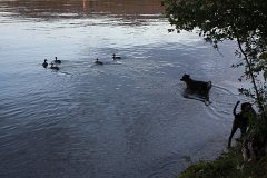 2008 08 28 40D 0246