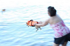 2008 08 29 40D 0405