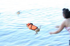 2008 08 29 40D 0406