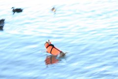 2008 08 29 40D 0407