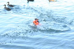 2008 08 29 40D 0411