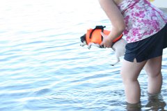 2008 08 29 40D 0451