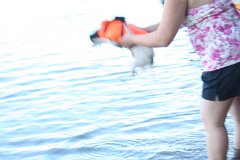 2008 08 29 40D 0452