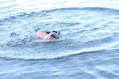 2008 08 29 40D 0461