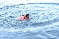 2008 08 29 40D 0462