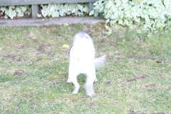 2008 08 29 40D 0468