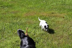 2008 08 30 40D 0474