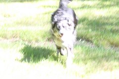 2008 08 30 40D 0478