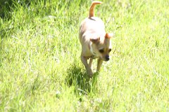 2008 08 30 40D 0481