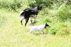 2008 08 30 40D 0484