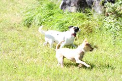 2008 08 30 40D 0487