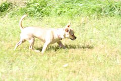 2008 08 30 40D 0489