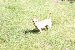 2008 08 30 40D 0490