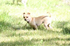 2008 08 30 40D 0493