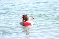 2008 08 30 40D 0500