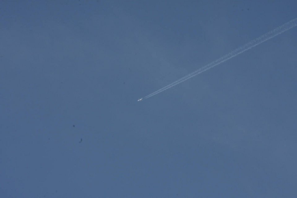 IMG 9403