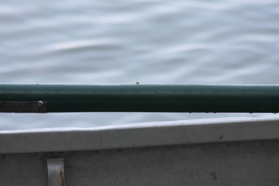 IMG 9421